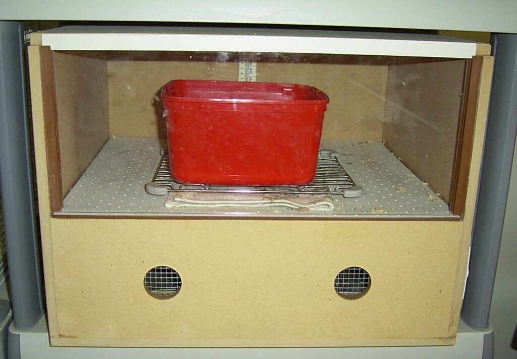 Homemade brooder